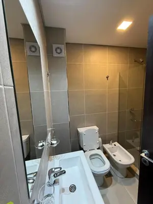 a bathroom with a toilet and a sink and a mirror at MonoambienteXdia in Villa Dolores
