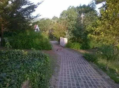 a cat is walking down a brick road at Casa con Piscina y Vista al Lago in Villa Santa Cruz del Lago