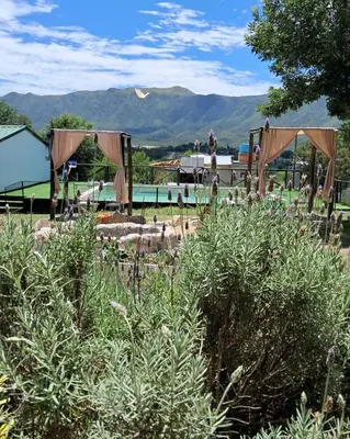 a garden with a pool and umbrellas at Cabañas Sierra Maestra in Bialet Massé