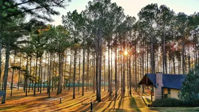 a house in the middle of a forest of trees at La Olla Complejo Turistico in Santa Rosa de Calamuchita