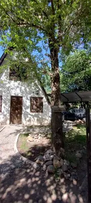 a tree in front of a stone house at Alpinas El Chusmo 3 in Villa Ciudad Parque