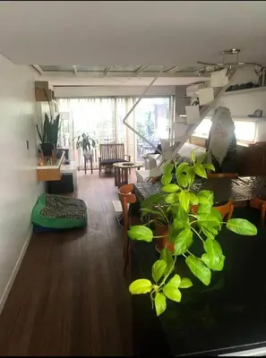 a living room with a plant in the middle of it at Dto lujoso in Cordoba