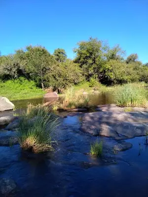 a stream of water with grass and trees in the background at Cabaña Don Americo in Villa García