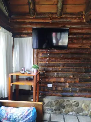 a bedroom with a wooden wall with a flat screen tv at Cabañas Fénix de Los Reartes in Los Reartes