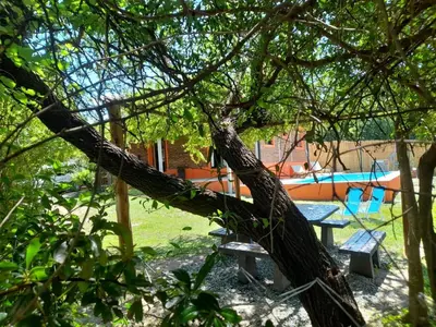 a tree with a picnic table in a yard at La Casa De Mi Viejo in San Javier