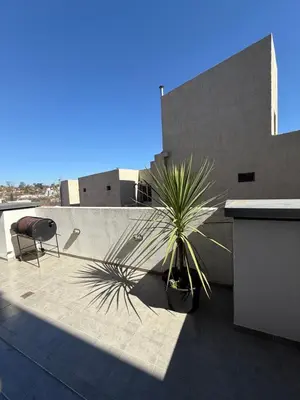 a potted plant sitting on top of a building at Departamento premium con amplio patio en pleno centro de Carlos Paz in Villa Carlos Paz