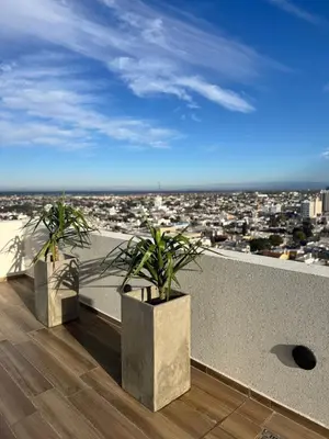 two potted plants sitting on top of a balcony at departamento en edificio torre libertador in Río Tercero