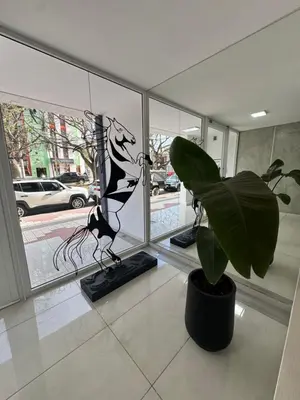 a potted plant in a room with a window at departamento en edificio torre libertador in Río Tercero