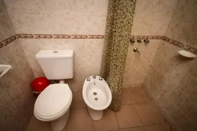 a bathroom with a toilet and a shower at Nélida Dpto 1 in Villa Carlos Paz