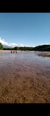 a group of animals swimming in a body of water at La casa de los Nonos in Mina Clavero