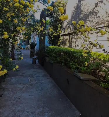 a walkway with yellow flowers and bushes next to a building at Modern PH with Grill in Cordoba