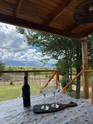 a table with a bottle of wine and two wine glasses at Cabaña Zara in Villa Yacanto