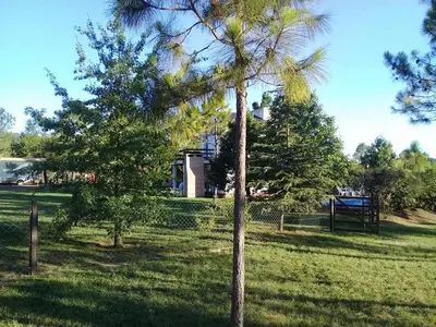 a tree in the middle of a grass field at Cabañas El Paso in Villa del Dique