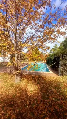 a tree in a yard with a swimming pool at Cabañas El Paso in Villa del Dique