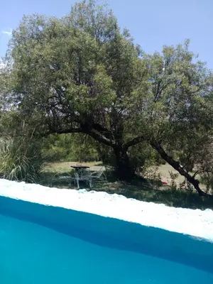a picnic table in front of a tree at La Pasionaria, casa de campo con pileta in Villa García