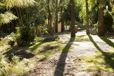 a path in a park with trees and rocks at Las Nubes Cabañas & Loft in San Javier