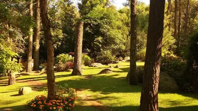 a park with trees and flowers in the grass at Las Nubes Cabañas & Loft in San Javier