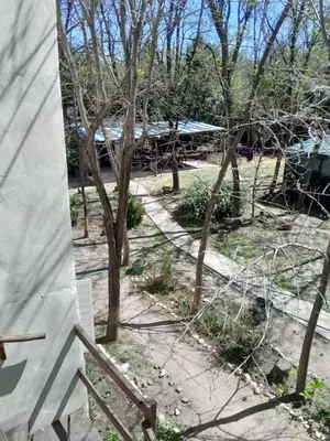 a view of a yard with trees and a building at Rafael Arcangel in Nono