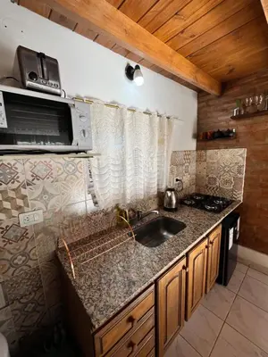 a kitchen with a sink and a microwave at ALPINAS DeL MONTE in Cortaderas