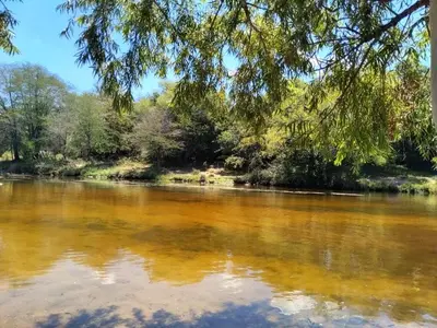 a view of a river with trees in the background at Punilla- Don Americo in Villa Carlos Paz