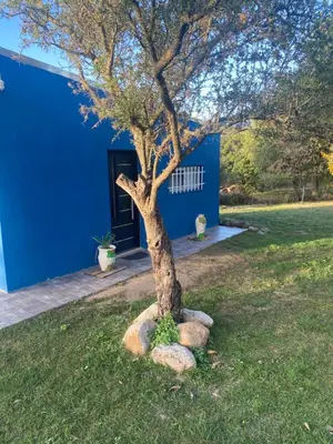 a tree in the grass next to a blue building at La Herminda Casas de Campo in Nono
