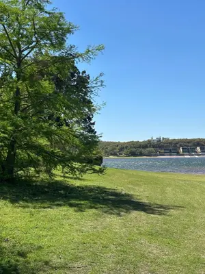 a tree in a field next to a lake at El refugio in Villa del Dique