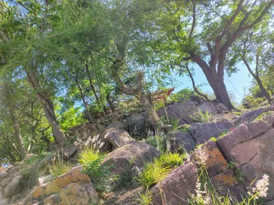 a rocky hill with trees on top of it at La Morada del Arroyo in Villa Parque Siquiman