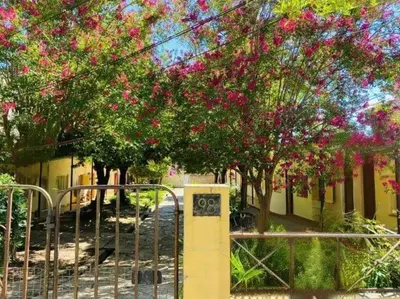 a fence in front of a bunch of trees with pink flowers at Monoambiente Villa Carlos Paz Centro, Terminal in Cordoba