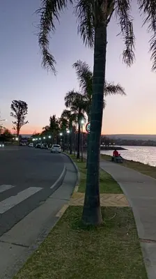 a street with a palm tree on the side of a road at Monoambiente Villa Carlos Paz Centro, Terminal in Cordoba