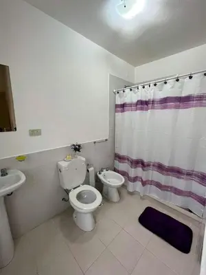 a bathroom with a toilet and a shower curtain at Departamanto 1 dormitorio Carlos Paz Tupungato in Villa Carlos Paz
