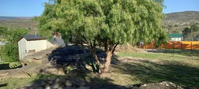 a tree in the middle of a field with rocks at Cabaña Cerca del rio Cabalango in Cavalango
