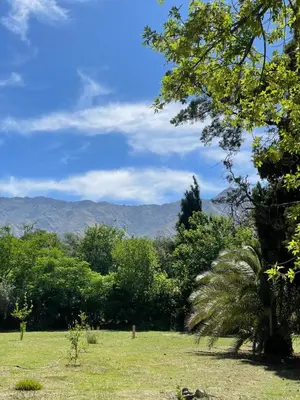 a green field with trees and mountains in the background at Casa Paine in San Javier