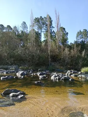 a herd of animals crossing a river at La Margarita in Villa Ciudad Parque