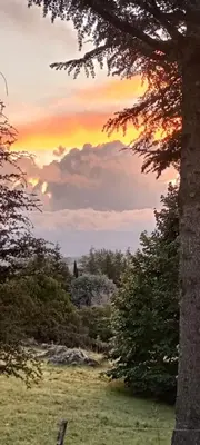 a sunset over a field with trees in the background at Lavanda y Romero Villa Yacanto de Calamuchita in Villa Yacanto