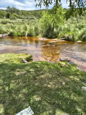 a river with some grass and trees in a field at Los Bichos in Estancia Vieja