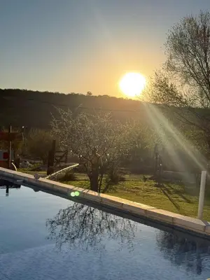 a reflection of a tree in the water at sunset at Los Bichos in Estancia Vieja