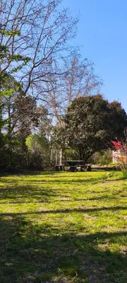 Gallery image of La Arboleda in La Bolsa