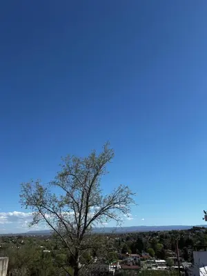 a tree with a blue sky in the background at Monoambiente Atardeceres in Villa Carlos Paz