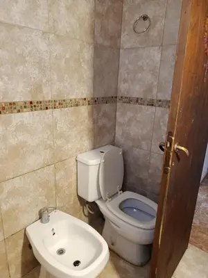 a bathroom with a toilet and a sink at Departamento Barrio Escuela in Río Tercero