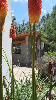 a garden with a building in the background with flowers at departamentos valle escondido in Villa Yacanto