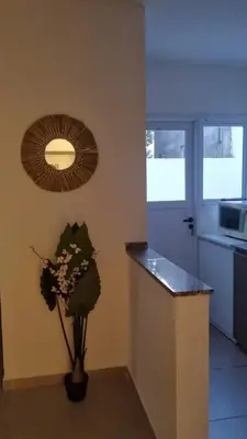 a kitchen with a counter and a vase with flowers at Garage y Gimnasio Depto Ideal Villa Dolores in Villa Dolores