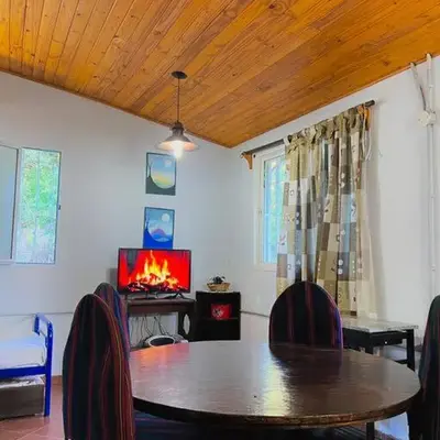 Nature's Peace: Cozy Cabin for 4 Near River