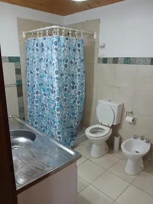 a bathroom with a toilet and a shower curtain at Terrazas del Kempes- Sanatorio Allende Cerro in Cordoba