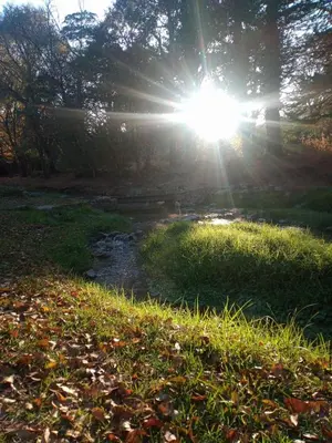 a sun shining through the trees in a field with a creek at Panacea Hotel in Villa General Belgrano