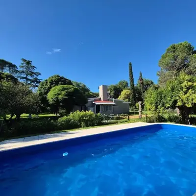 Oasis