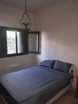 a bedroom with a bed with blue pillows and a window at Cazona Villa Carmen2 in Villa Carlos Paz