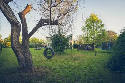 a tire hanging from a tree in a park at Lo de Paul in Hernando