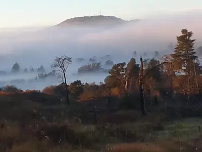 a painting of a foggy field with trees at Terrazas del Pinar, Loft con pileta exclusiva en bosque serrano in Villa Ciudad de America