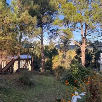 Terrazas del Pinar