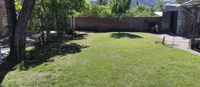 a yard with a tree and a brick wall at Cabaña Don Fernando in Los Hornillos